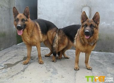 �¹�����Ȯ���ֶ���Ǯ