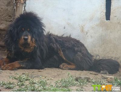 �����ж���