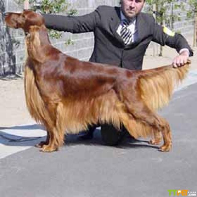 ������ѩ��Ȯ���������Ƴ̶�