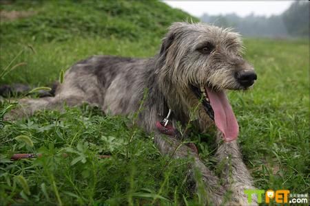 ����������Ȯ����