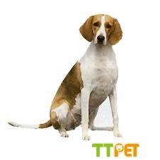 �����Ժ�ȮƤ����