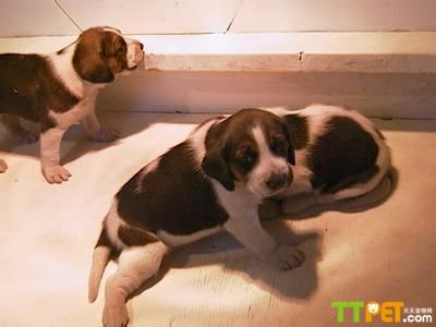 �����Ժ�Ȯ����Ǯ