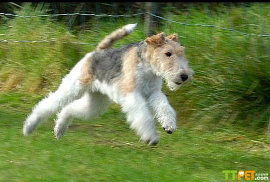 ����ʿ����ô��