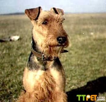 ����ʿ���ò���