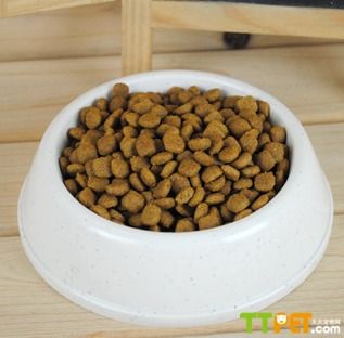 ����ʿ����ʲô