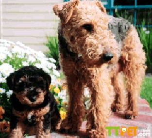 ����ʿ��Ż��