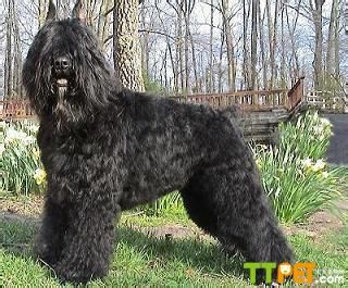 ����ѩ����Ȯ��������