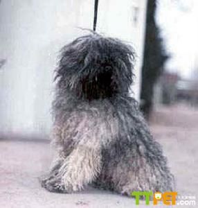 �������в���Ȯ