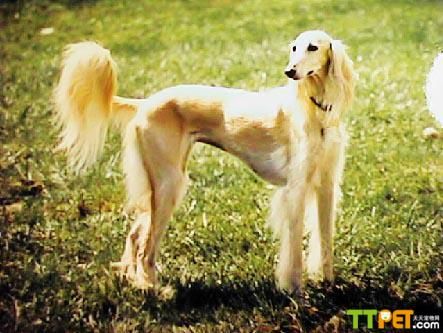 ��·����Ȯ����Ǯ