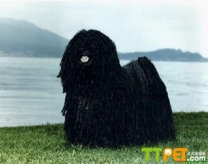 ����ȮҪ����Ǯ