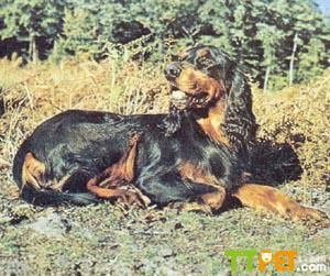 ���ѩ��Ȯ�ܳ����