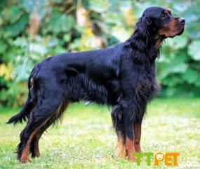 ���ѩ��Ȯ������ô��