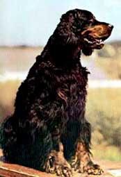 ���ѩ��Ȯ��ð��ô��