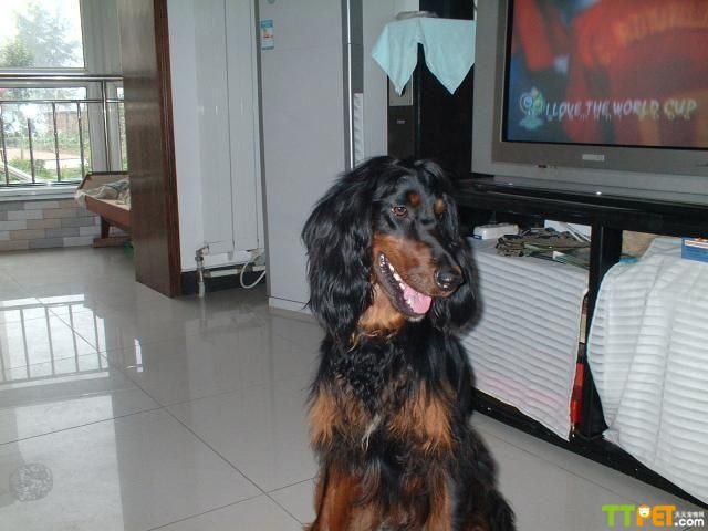 ���ѩ��Ȯ������ô��