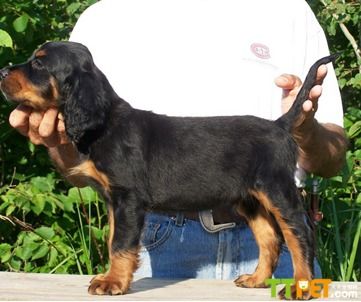 ���ѩ��ȮŻ��