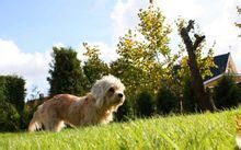 �̽ų�����Ƥ����