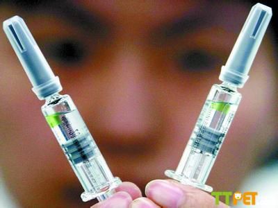 �̽ų�����Ԥ��