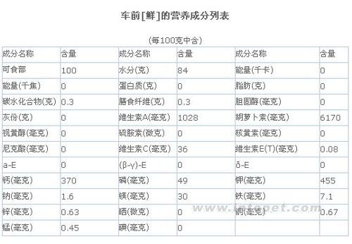 常见陆龟食用植物图谱+成分列表-养龟常识