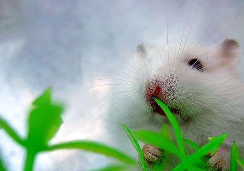 ÿ���������������ô�-��������