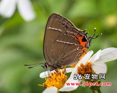 ���ҵ�-����Ʒ��