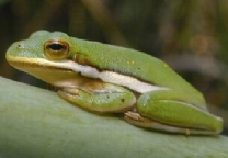 ��������-���Ʒ��