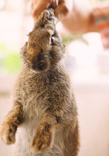 ι����������ע�ⶨʱ����-��������