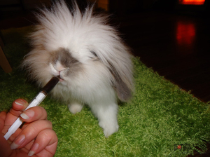 ���ӶԿ����غ�����-���ü���