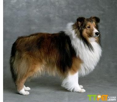 ѵ��ϲ�ֵ�Ȯ