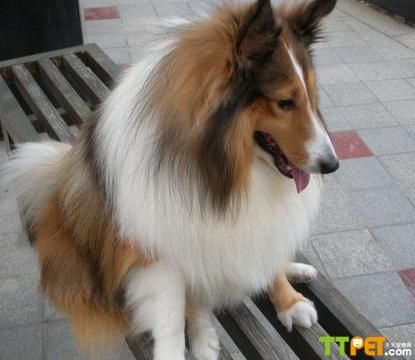 ϲ�ֵٵ��·�