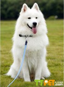 ����Ȯ������