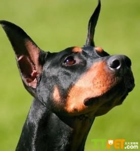 �ű�Ȯ����;