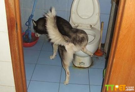 ѵ����ʿ�涨���С��