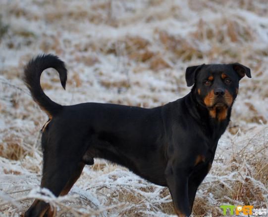 ������Ȯճ���� �᲻�����ëһ��