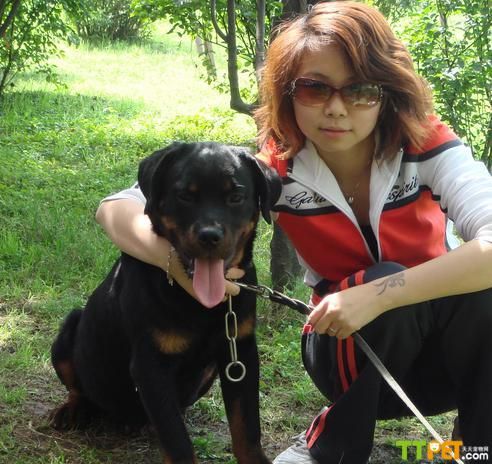 ��õ�������Ȯʲô����