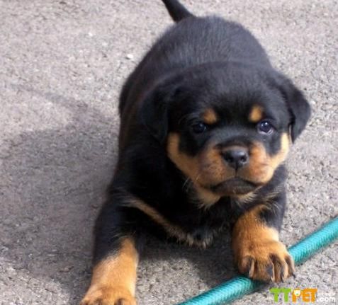 ������Ȯ�ʺϼ�����