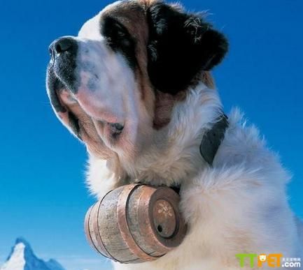 ʥ����Ȯ���������