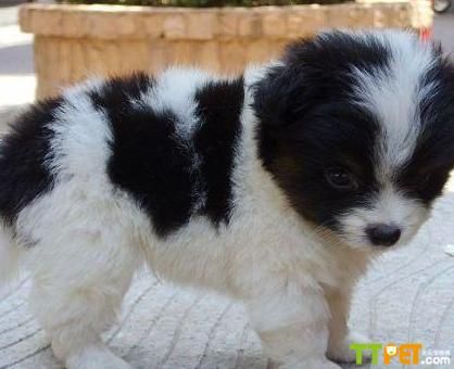 ����˵ĺ���Ȯ����Ǯ