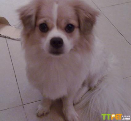 ����Ȯ���ĸ����ҵ�