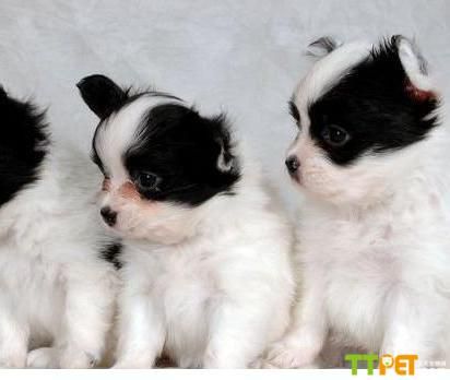 �����ʱ�����Ȯ�ô�����