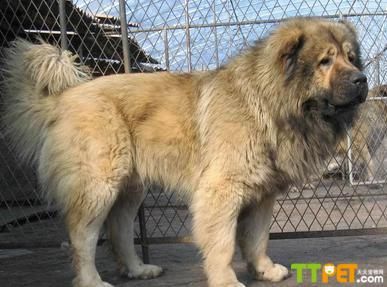 �߼���Ȯ������