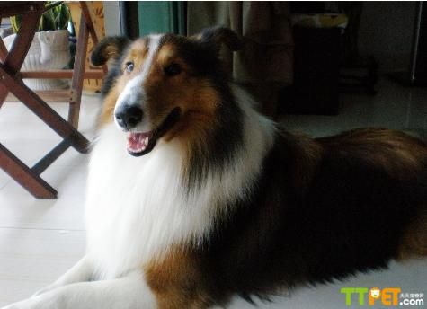 �ո�������Ȯ��ѱ��