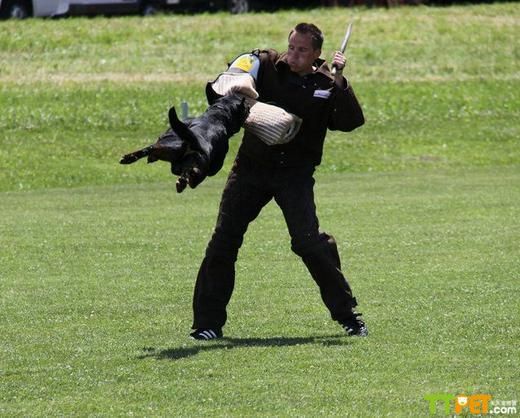 �����ʱ��������Ȯ������