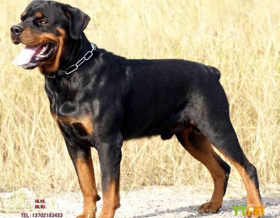 ������Ȯ����Ǯ�㰺��