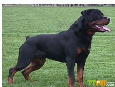 ������������Ȯ�ȽϺ�