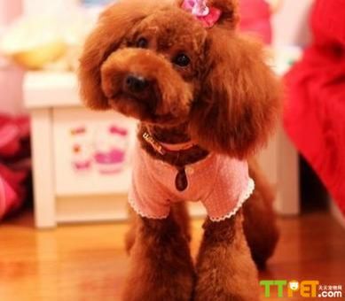 ���Ȯ�����ֹ�����