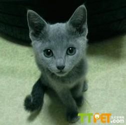 ����˹��è��ô��