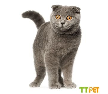 ������è׬Ǯ��