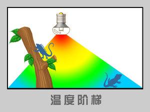 ���������¶ȵĿ���-���泣ʶ