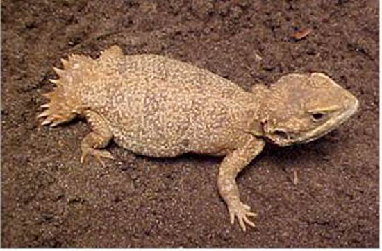 ������׃��������-��������